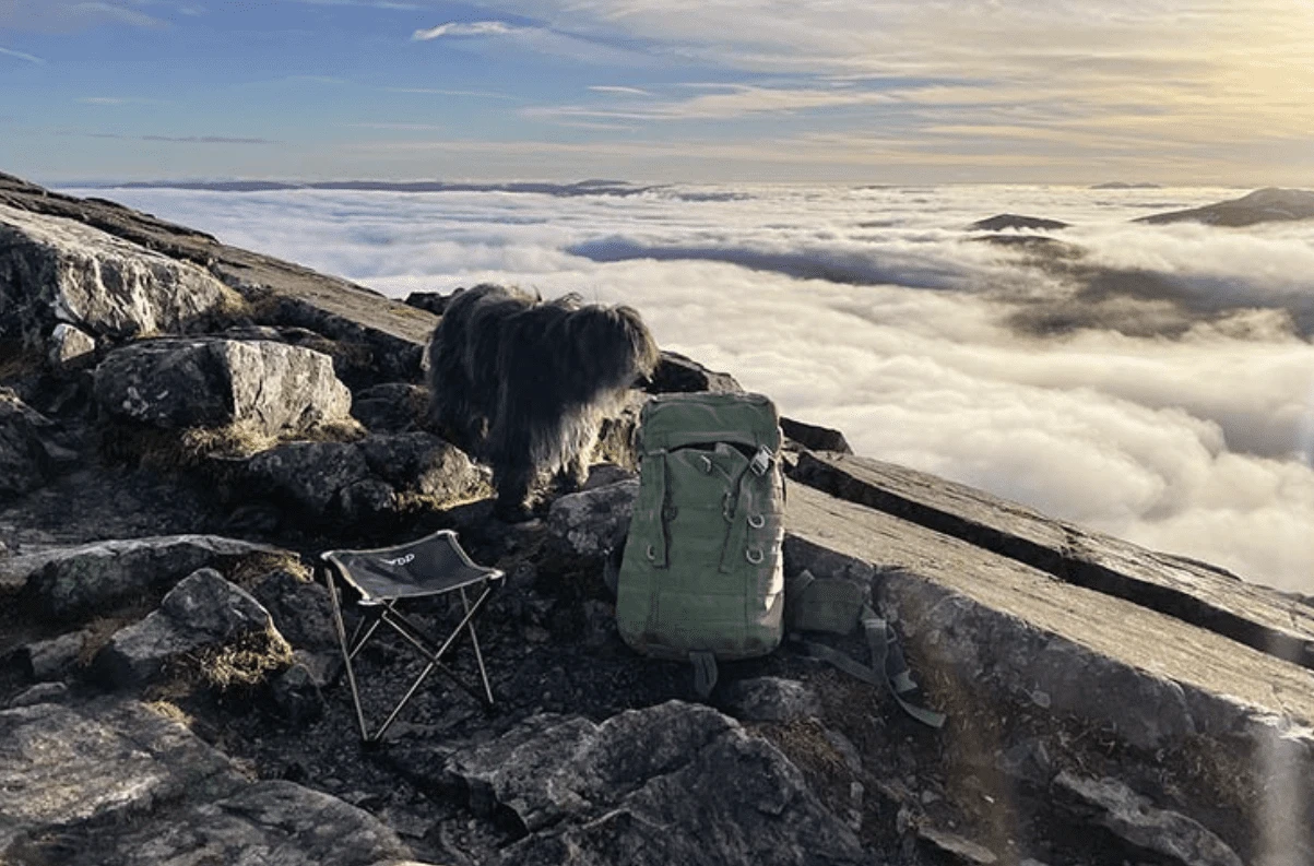 DD Hammocks Camping Stool - Image 4