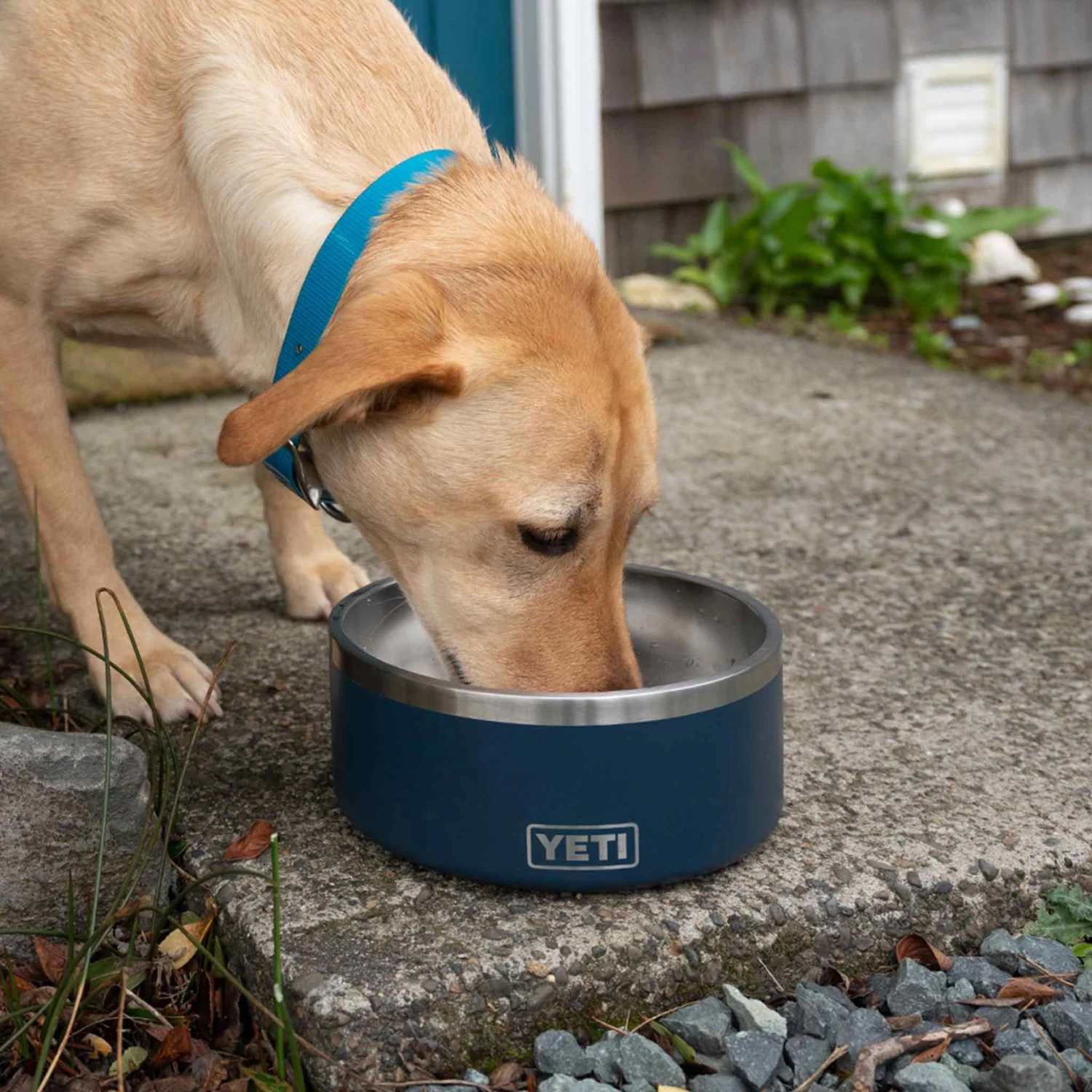YETI Boomer 8 Dog Bowl - Navy - Image 5