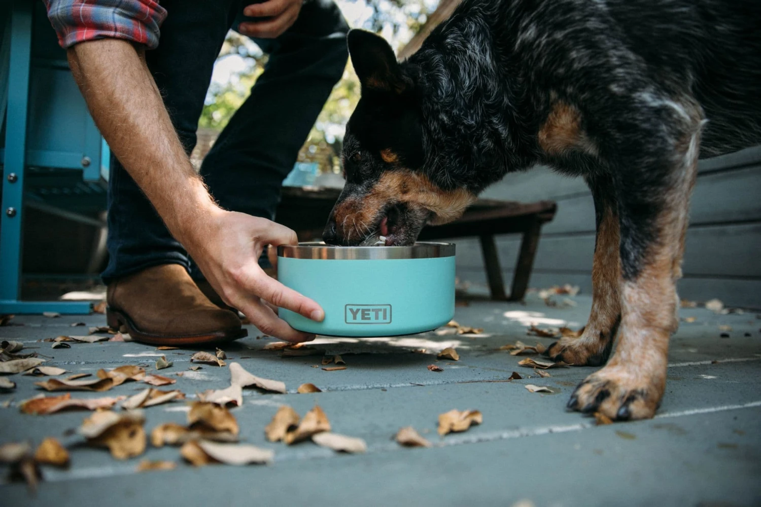 YETI Boomer 8 Dog Bowl - Seafoam - Image 5